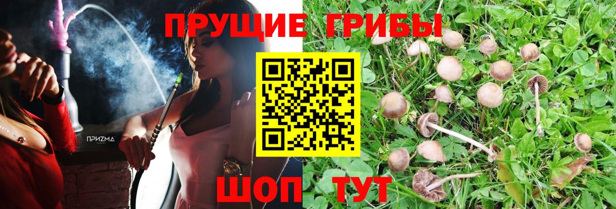 Карталы  ЭКСТАЗИ  Метамфетамин  Гашиш  НБОМе  Вход с VPN  Меф   Cocaine 