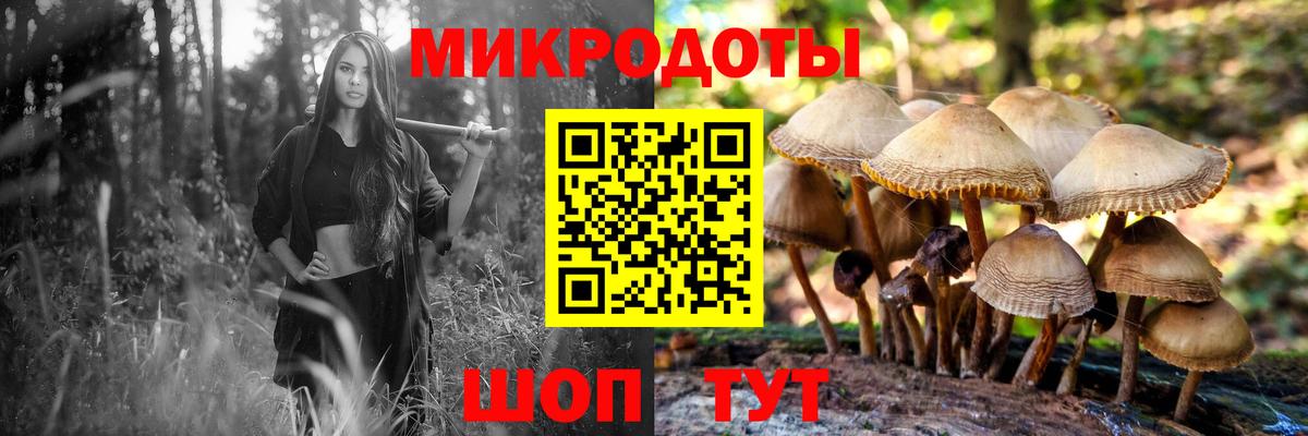 Галлюциногенные грибы GOLDEN TEACHER Карталы