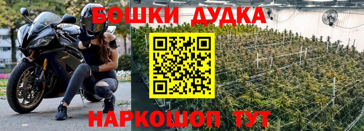 МАРИХУАНА сатива Карталы